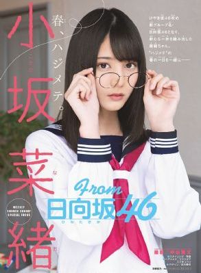 兔子先生第一季免费观看_DVD高清视频观看